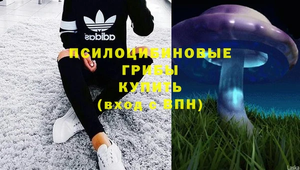 дмт Верхний Тагил