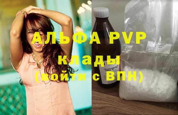 амф Верея