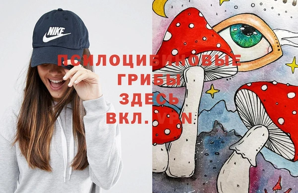 амф Верея