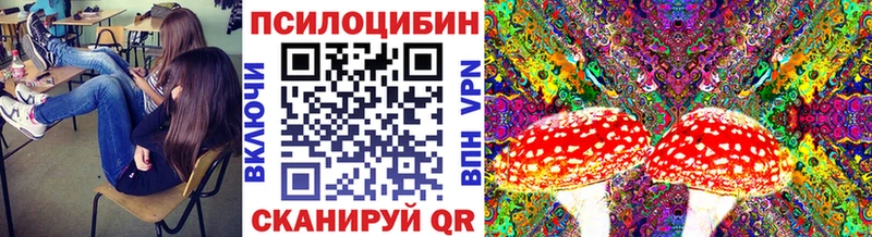 Псилоцибиновые грибы мицелий  omg вход  Верхоянск  цены наркотик 