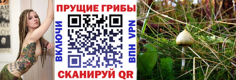 Псилоцибиновые грибы MAGIC MUSHROOMS Верхоянск